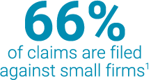66% of all claims are filed against small firms